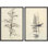 Croquis maritime et voilier aquarelle, thème nautique, nature, décor, illustrations