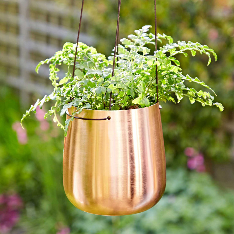 Iron Hanging Planter, 15cm H x 16cm W x 16cm D