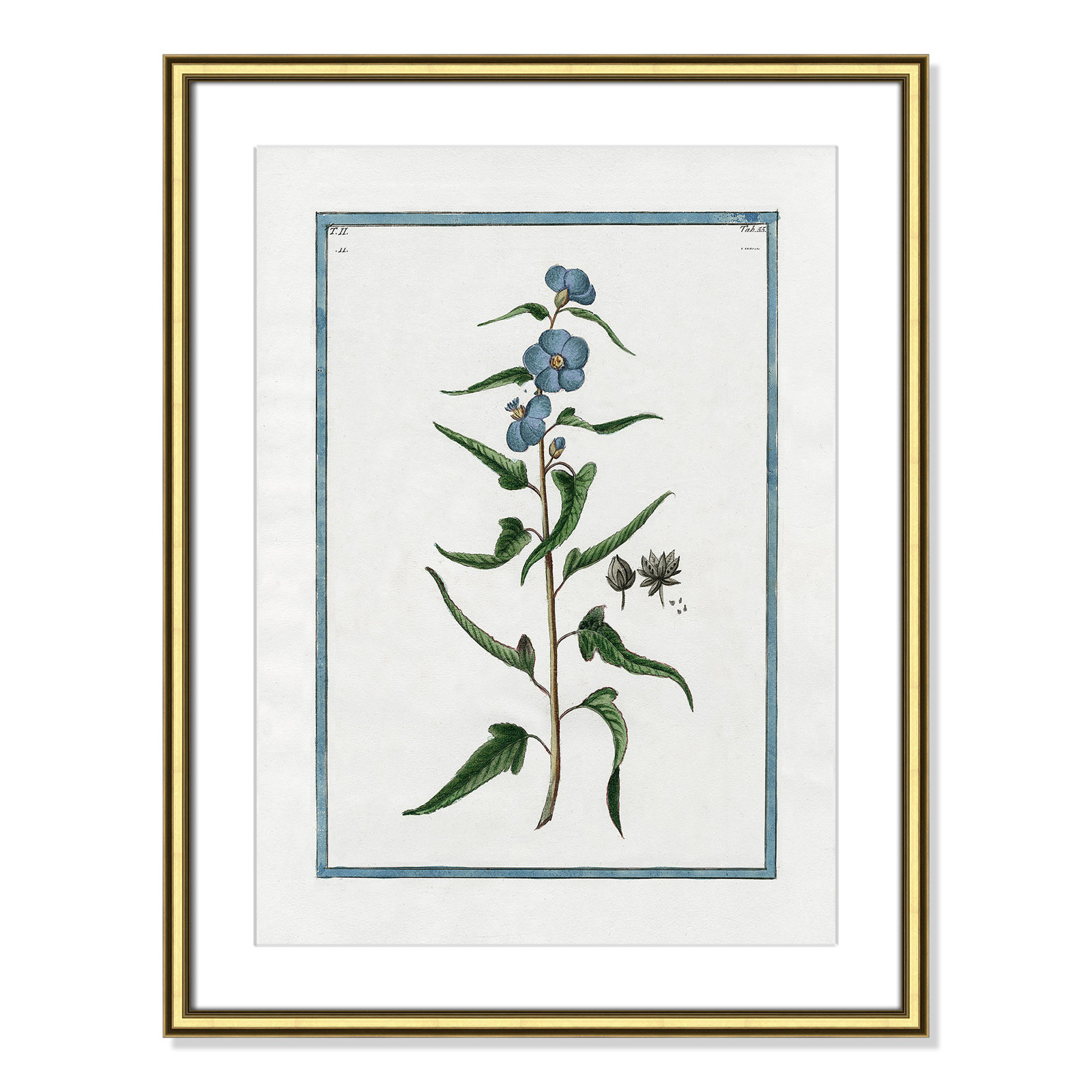 Shabby Elegance Botanical I - Framed Art Full Bleed, Gold Framed, 18.25" W x 24.25" H