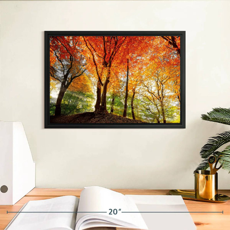 Prism Of Light, Floating Frame Black, 13" X 9"