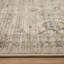 Beimnet Machine Woven Beige/Grey Indoor Rug-1731080983
