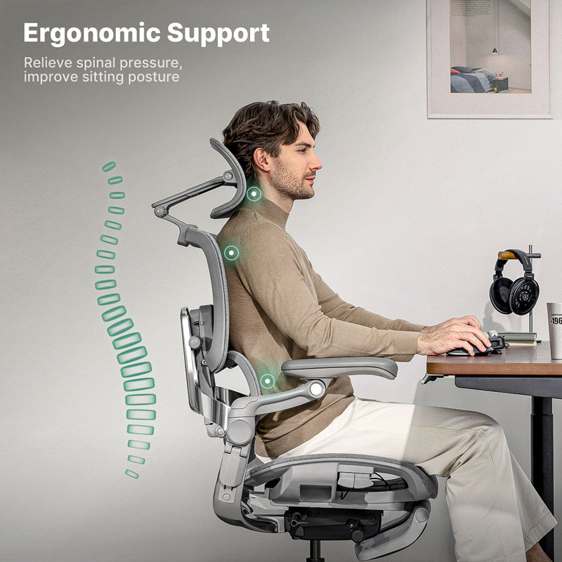 H2 Pro Ergonomic Home Office Chair With Optional Footrest, Black, Black