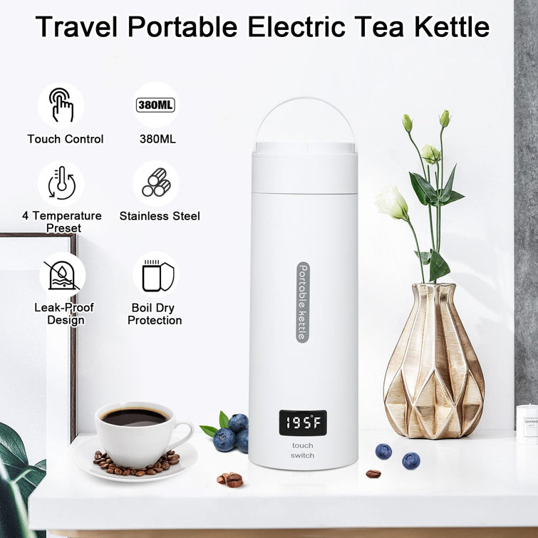 https://assets.wfcdn.com/im/23164488/resize-h755-w755%5Ecompr-r85/2227/222748635/Permanent+Stainless+Steel+Electric+Tea+Kettle.jpg