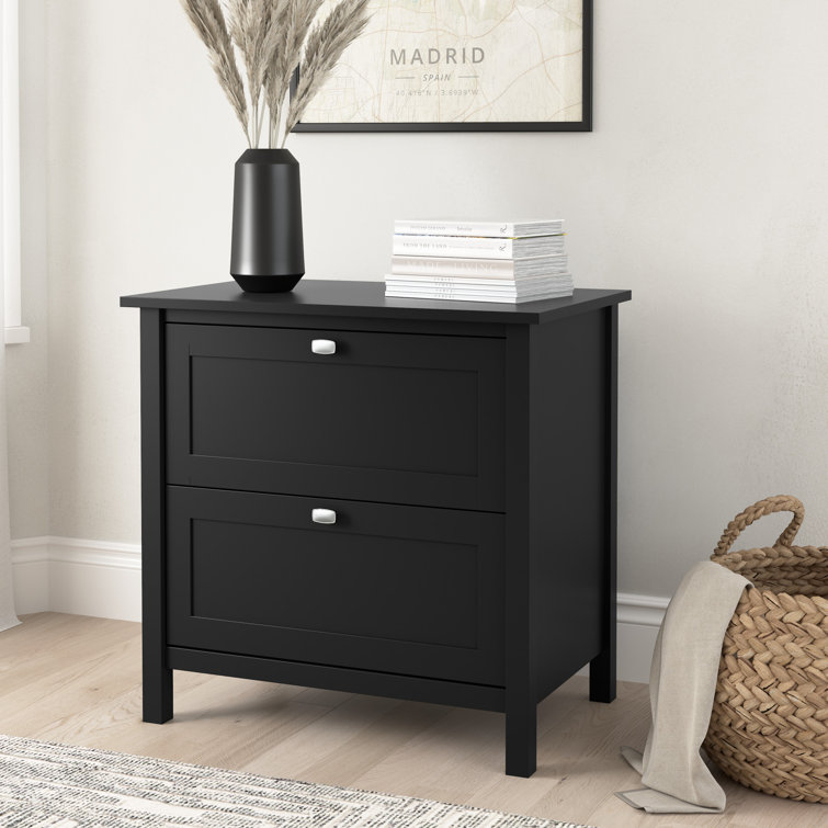 Aliyat 31'' Wide 2 -Drawer File Cabinet