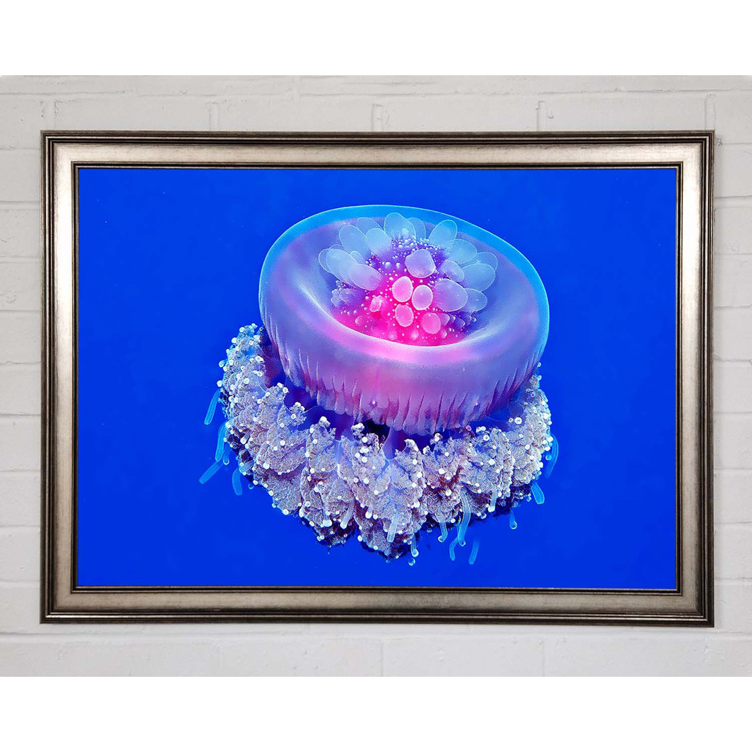 Gerahmtes Bild Jellyfish Pink