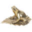 Figurine en bronze Kallas Frog Blessing