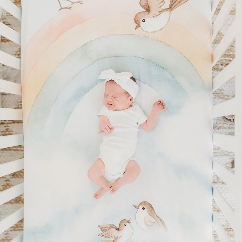 Mini drap pour lit de bébé Rainbow Birds