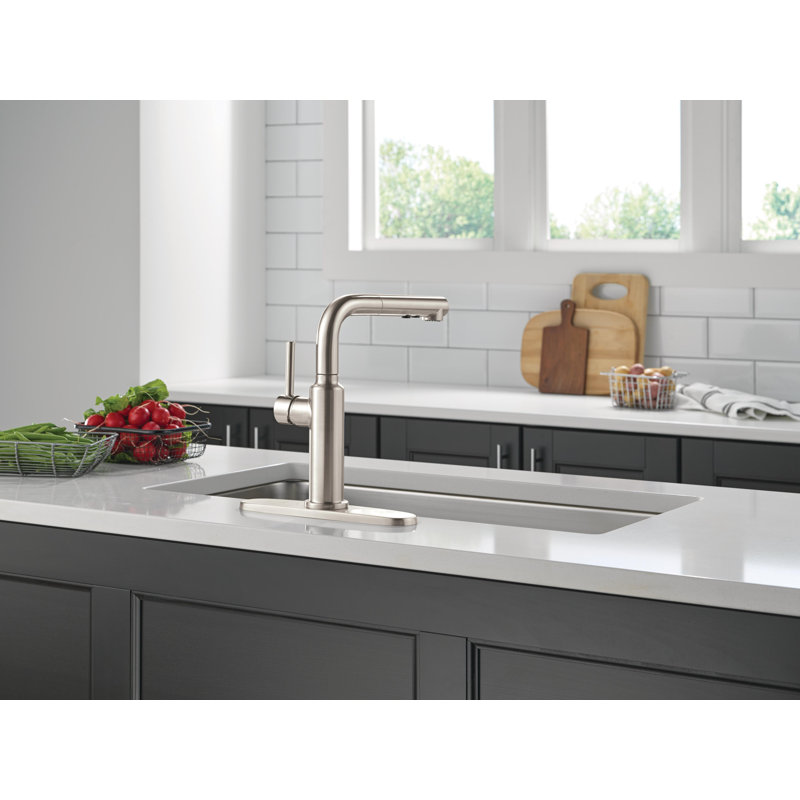 Robinet de cuisine Daneri en nickel brossé avec douchette extractible, robinet d'évier de cuisine monotrou moderne, poignée simple, acier inoxydable