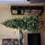 Customer photo 3 of 4