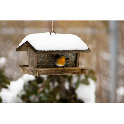 Mangeoire à oiseaux par Focuseye