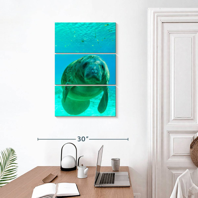 Brampt Swimming Manatee, 32" H x 20" W