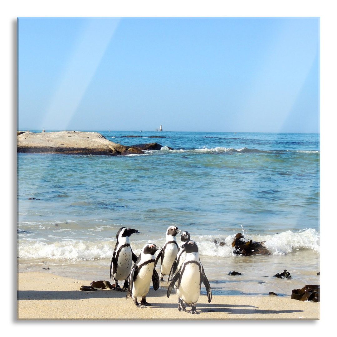 Glasbild Quadratisch | Wandbild Auf Echtglas | Pinguine Am Strand | Aufhängung Und Abstandshalter LQ2014