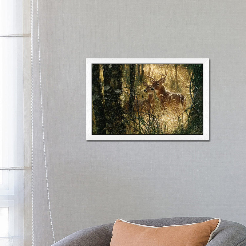 A Golden Moment - Whitetail Deer by Collin Bogle - Floater Frame Print on Canvas, 66.04 cm H x 45.72 cm W, White