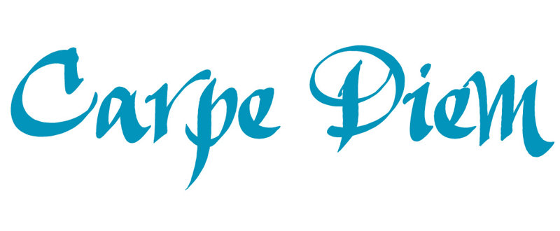 Décalcomanie murale indemnités journalières carpe diem, H 9,5 po x l 36 po x P 0,01 po, Bleu sarcelle