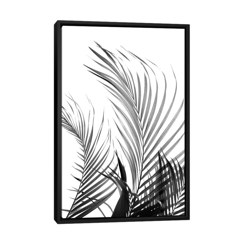 «Palm Fronds Black & White», impression sur toile, H 26 po x l 18 po x P 1,5 po, Toile avec cadre noir, Pas de tapis