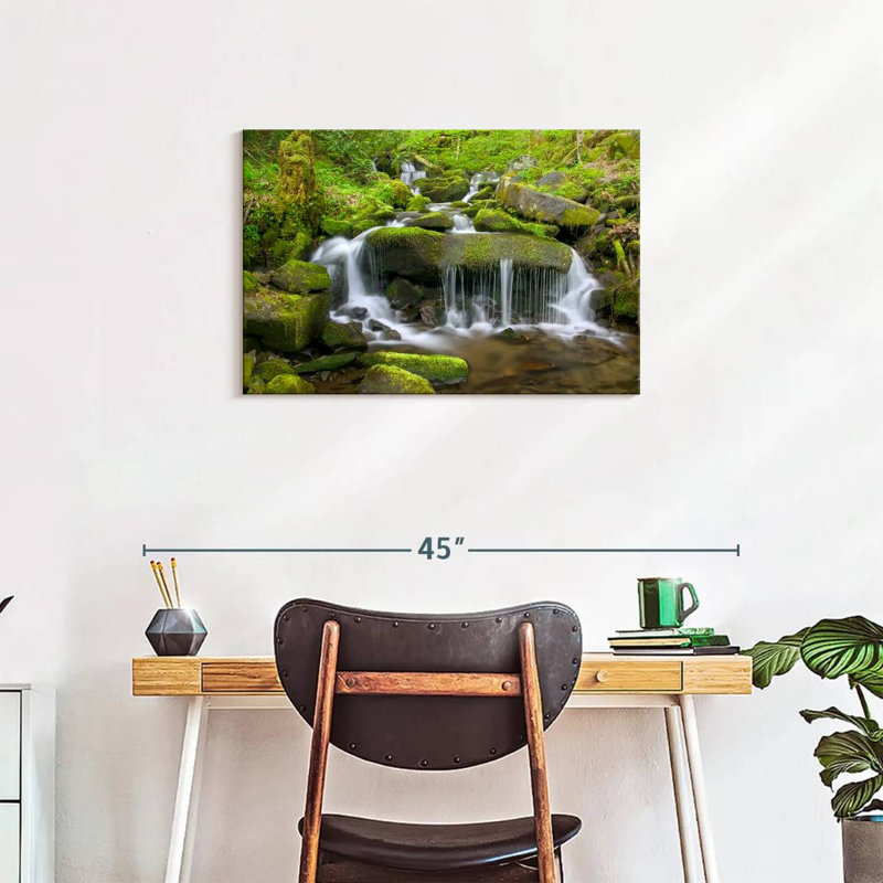Alvord Mossy Stream Waterfall