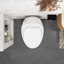 Toilette 1 pièce en céramique à finition simple blanc brillant avec siège à fermeture douce 1,28 GPF