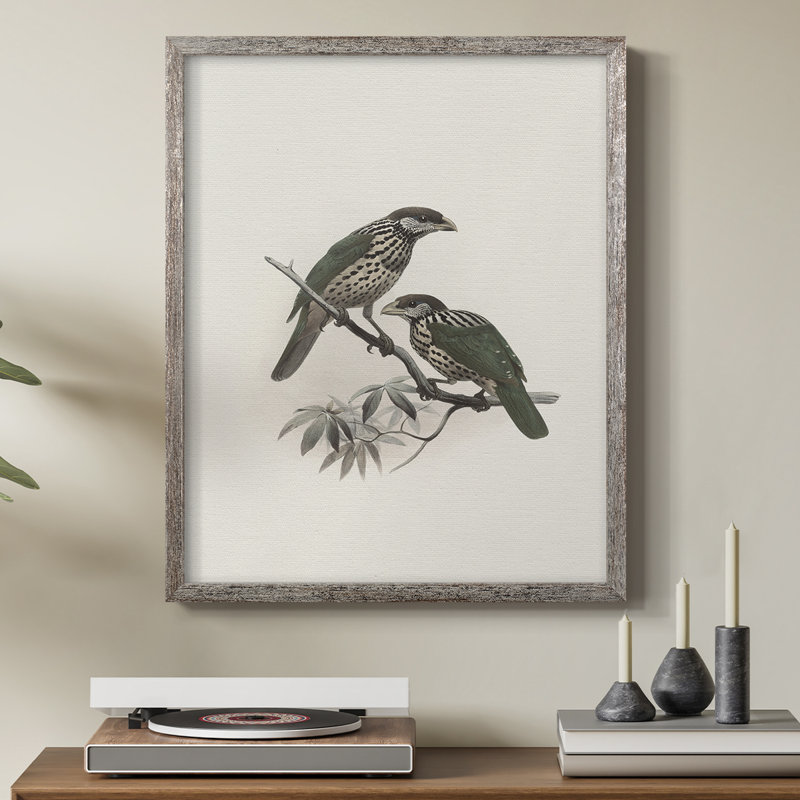 «Vintage Animal Print», reproduction encadrée en bois massif, H 30 po x l 24 po