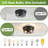 10.8 In. 2-light Farmhouse Black Flush Mount Ceiling Light  (2-pack)