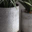 Albion Metal Planter-1418794919