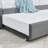 Velvet Upholstered Daybed with Trundle Wood Daybed Guest Bed Daybed Frame-106718287-113302851