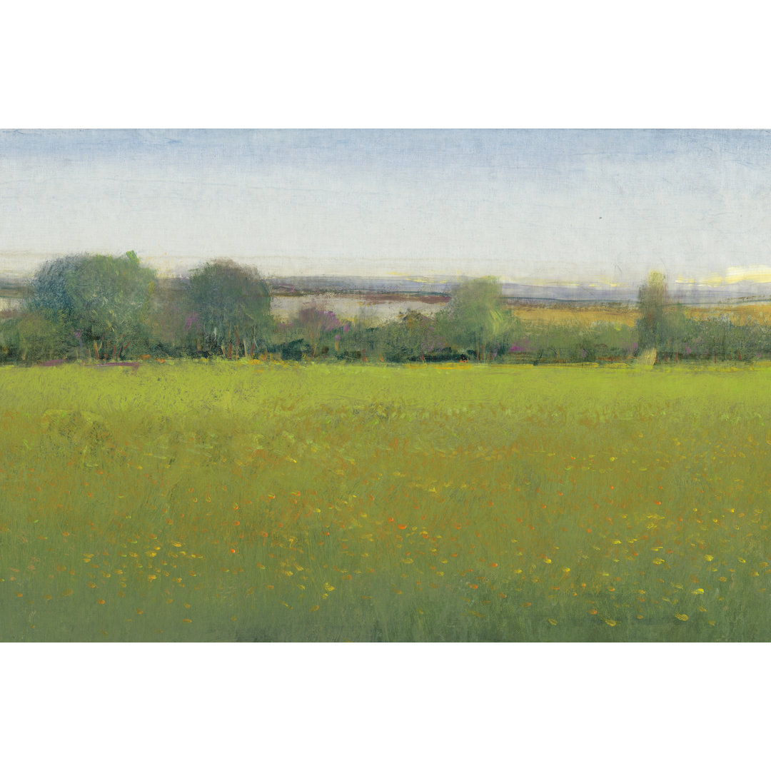 Leinwandbild Verdant Countryside II von Tim O'Toole