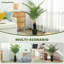 120cm Plant