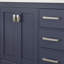 Minnich 48 In. Blue Single Sink Bath Vanity With Carrara Quartz Top And Undermount Porcelain Sink