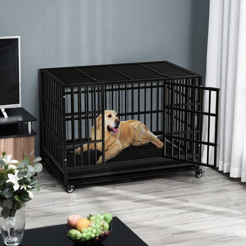 Cage pour chien 48 pouces indestructible, Black