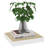Artamas Floating Shelf-1366491709-1411465441