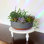 Pot Planter