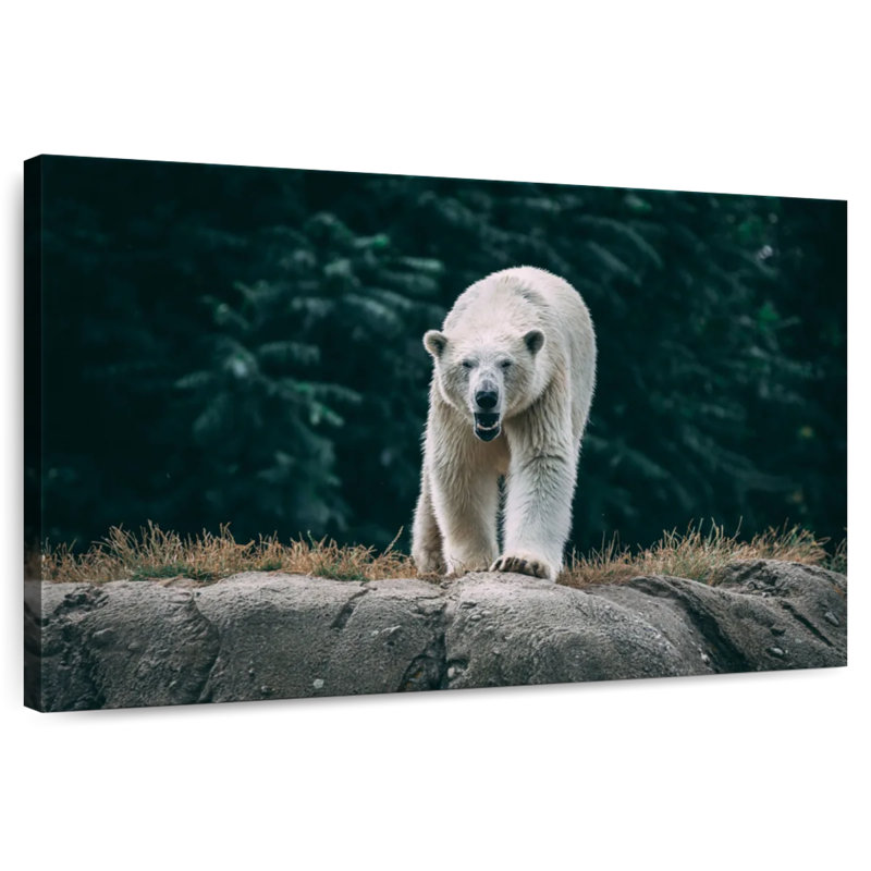 Brampt Angry Polar Bear, 8" H x 12" W