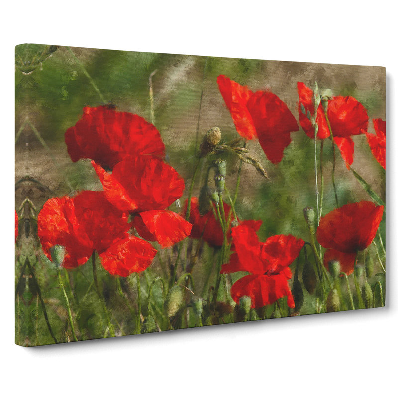 Field Of Poppies Vol.7 - Wrapped Canvas, 35cm H x 50cm W x 3cm D