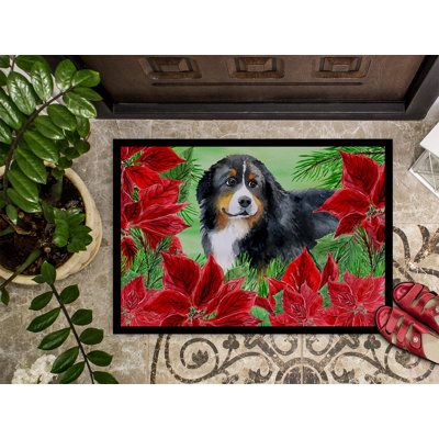Non-Slip Outdoor Doormat