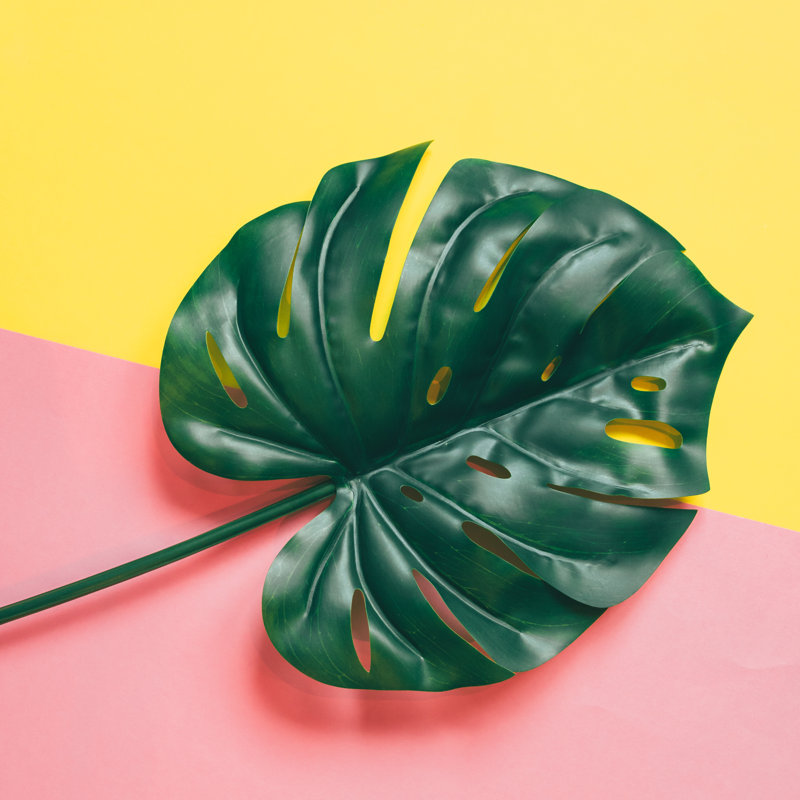 Palm Leaf - Wrapped Canvas Print, 91cm H x 91cm W x 3.8cm D
