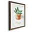 Sauge en pot - peinture-426400179-426400183