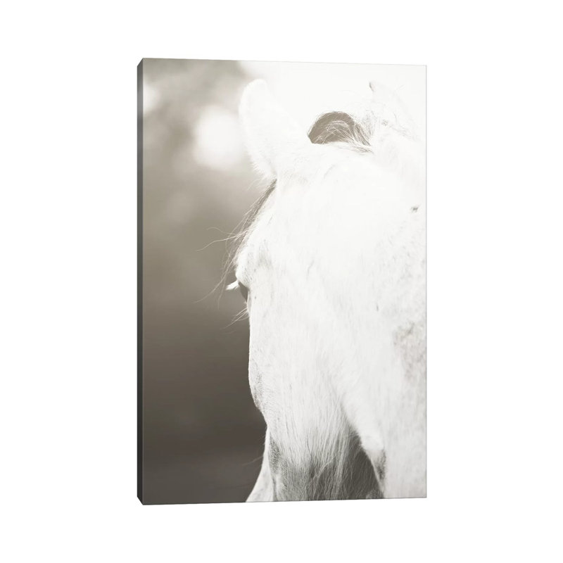 Pearl by Ann Hudec - Wrapped Canvas Print, 20.32 cm H x 30.48 cm W