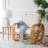 Robillard Upholstered Armchair