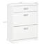 3-Drawer Shoe Cabinet Storage Rack With 2 Flip Doors Adjustable Shelf Freestanding Organizer