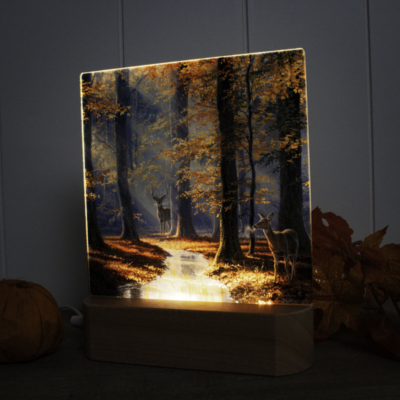 October Courtship LED Nightlight