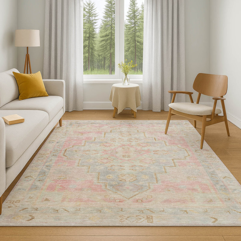 Premium Machine Washable Tara AMF1918 Border Rug, Rectangle 3' x 5'