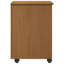 Solid Wood Rectangle Accent Chest-2141055280