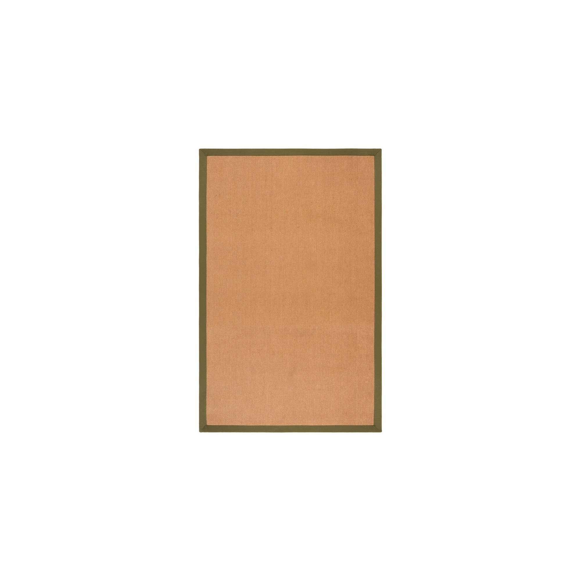 Natural Fiber Flat Weave Jute/Sisal; Latex; Cotton Solid Color Indoor Rug, Rectangle 6' x 9'