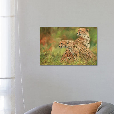 Pair Of Cheetahs by David Stribbling - Wrapped Canvas Print