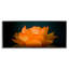 Giclée encadrée de lotus orange brillant, design par Phillip Flowers-761355911-761355909