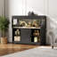 Réservoir de reptile Herture 60 gallons avec support, réservoir de terrarium avec armoire de rangement, pour lézards, scinques, serpents, portes coulissantes en acrylique, plateau en filet, prise de courant intégrée noir Px02Rtb-120151069-120151068