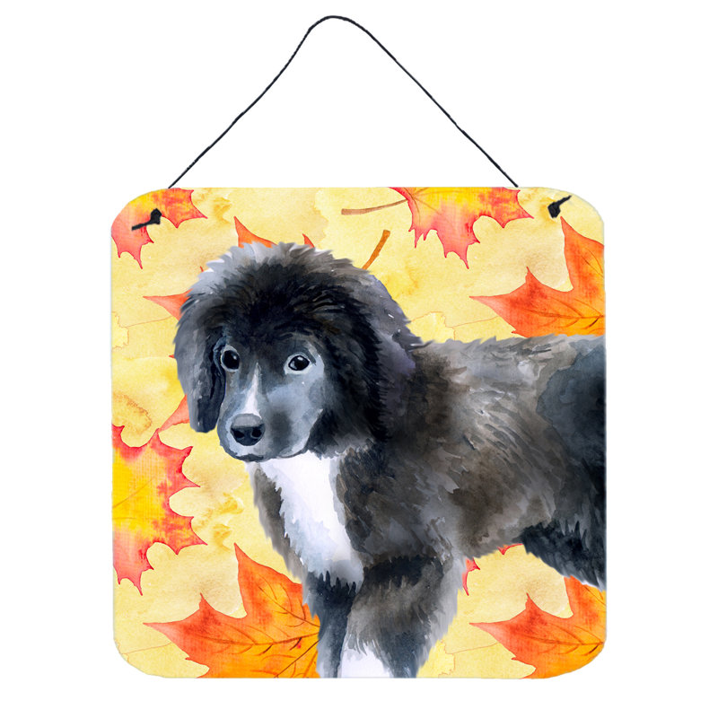 Landscape & Nature Wall Decor on Metal, Newfoundland Puppy