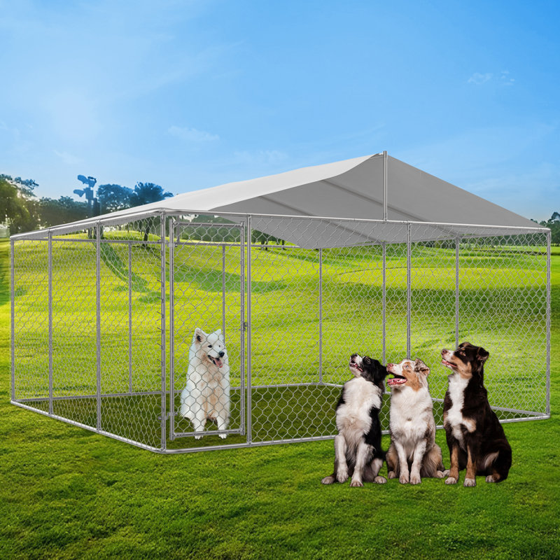 Chenil en métal pour chien avec auvent et porte verrouillable, H 91,2 po x l 177,6 po x P 177,6 po