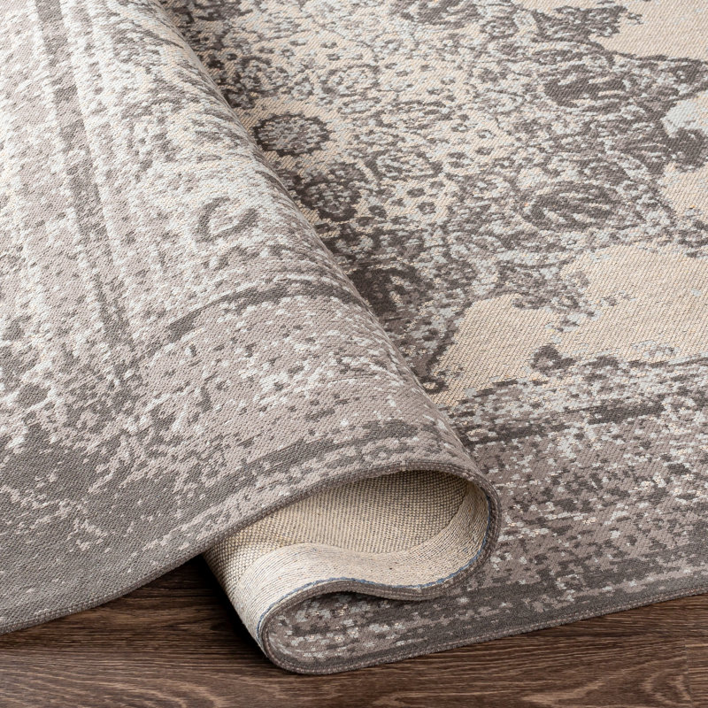 Aoi Chenille Oriental Indoor Rug, Rectangle 2' x 3'