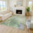 Machine Washable Indoor/Outdoor Lafferty ACN2223 Floral Rug-834370113